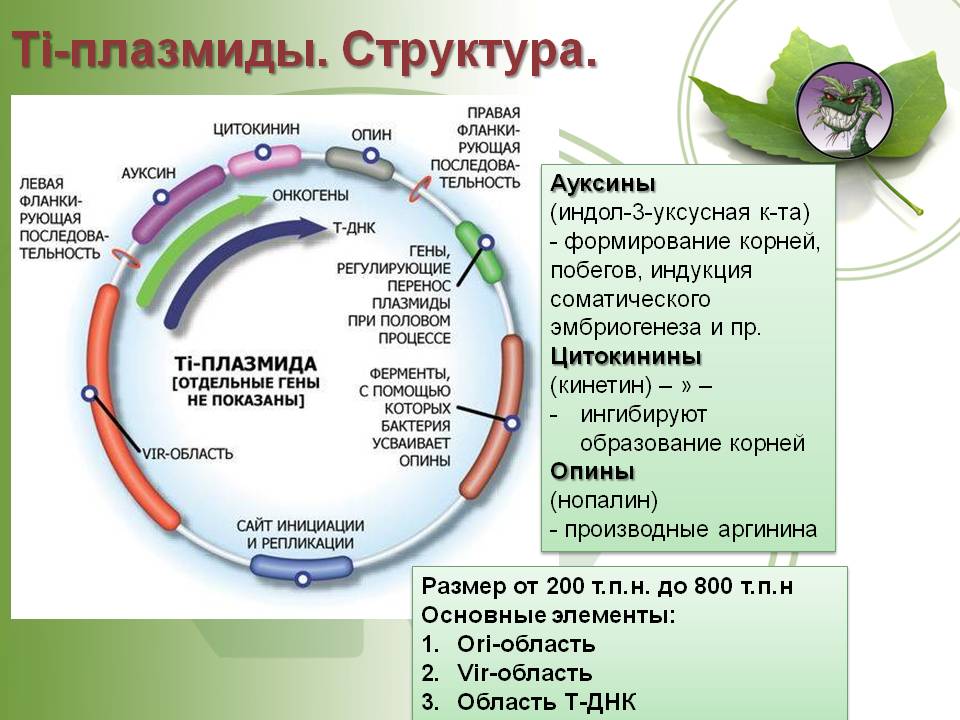 Что продают на кракене