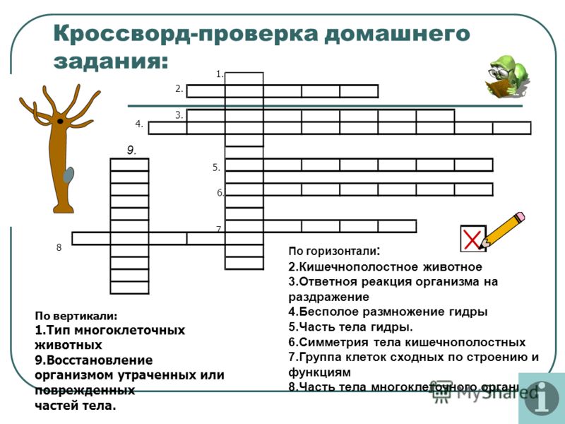 Зайти кракен через тор